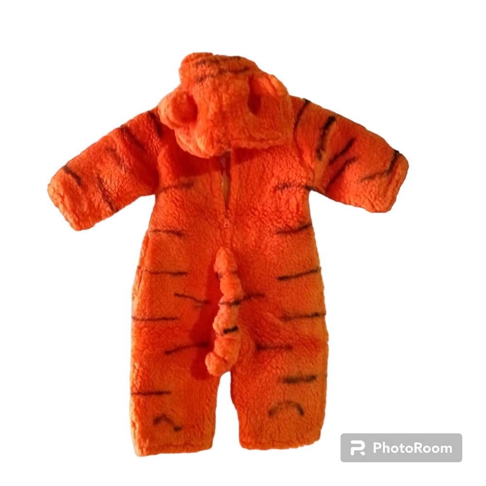 Costume - Picture 2 of 13